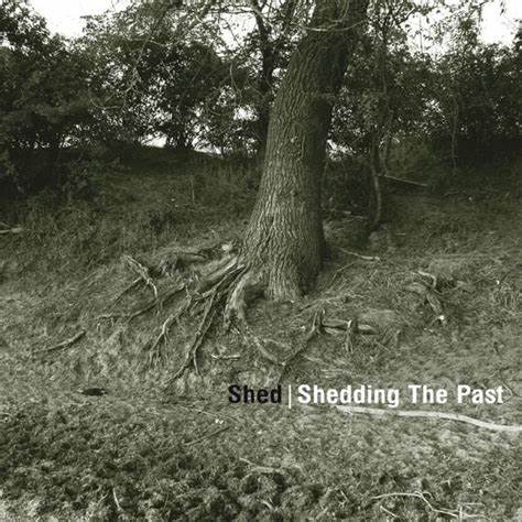 SHED: SHEDDING THE PAST